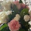 rosetnz